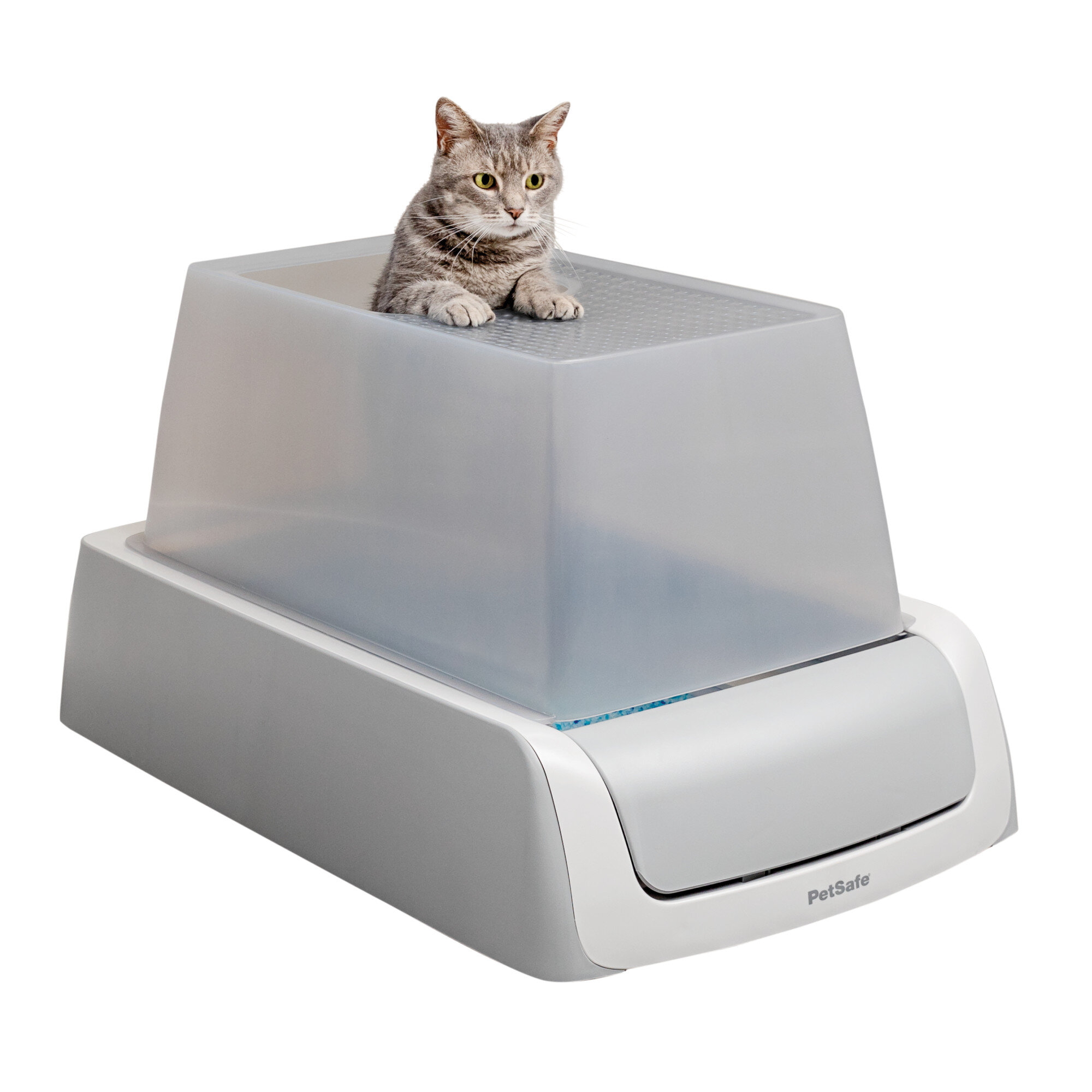 scoopfree top entry self cleaning litter box second generation