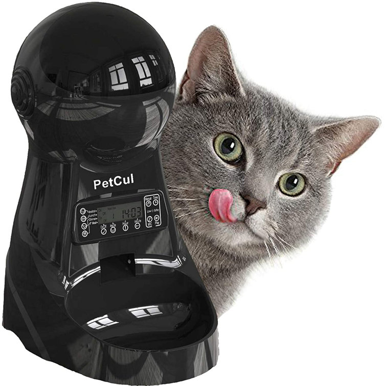 automatic cat feeder with collar