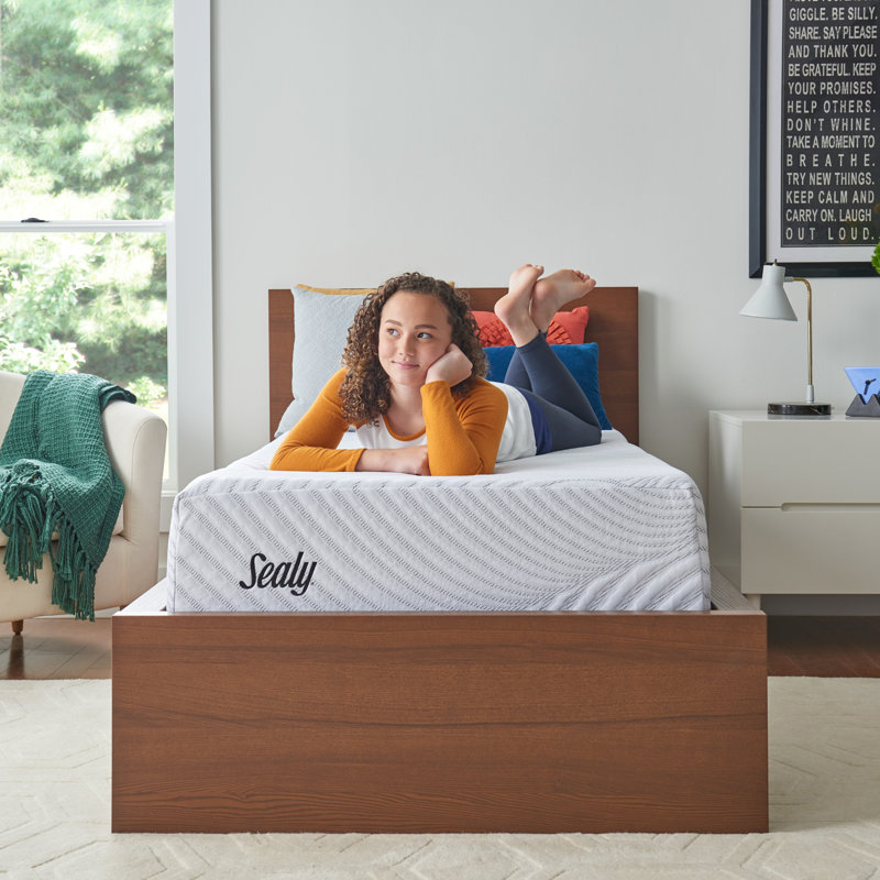 Sealy Conform Essentials 11 5 Plush Memory Foam Mattress And Box Spring Reviews Wayfair