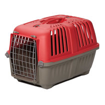 hard plastic pet carrier