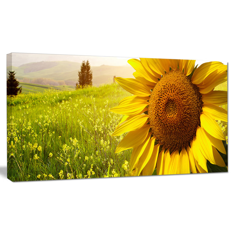 Designart Yellow Field With Big Sunflower Photographic Print On Wrapped Canvas Wayfair