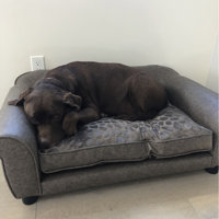 corina dog sofa