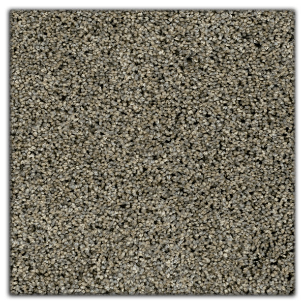Classroom Carpet Squares Wayfair