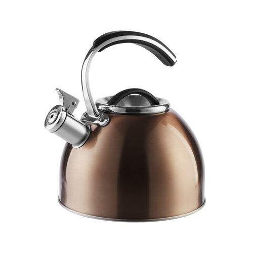 3L Stainless Steel Stovetop Kettle Morphy Richards Colour: Copper