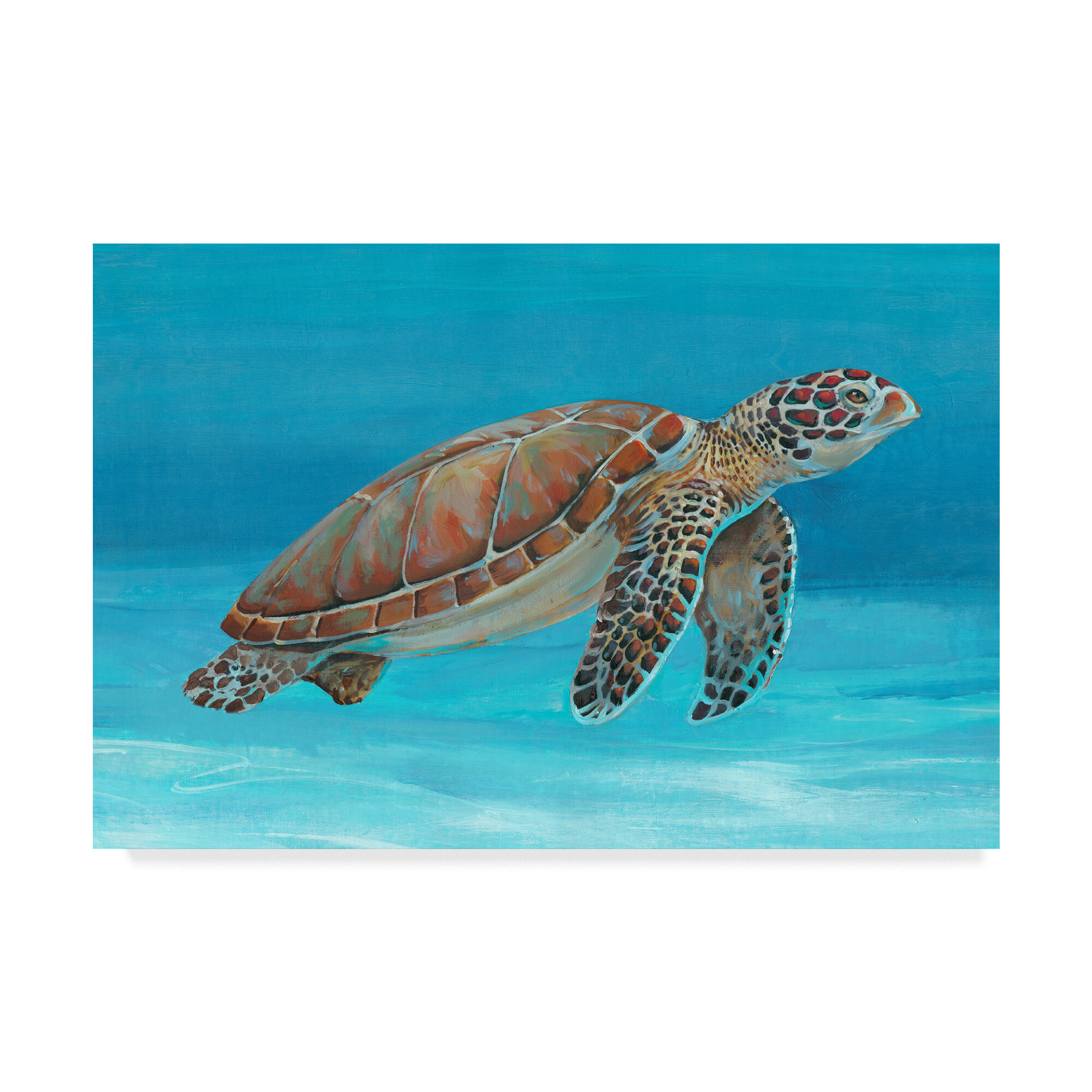 Picture Ocean Art Giant Sea Turtles Swimming with the Fishes Framed Print 