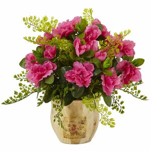 Azalea/Maiden Floral Arrangements in Planter