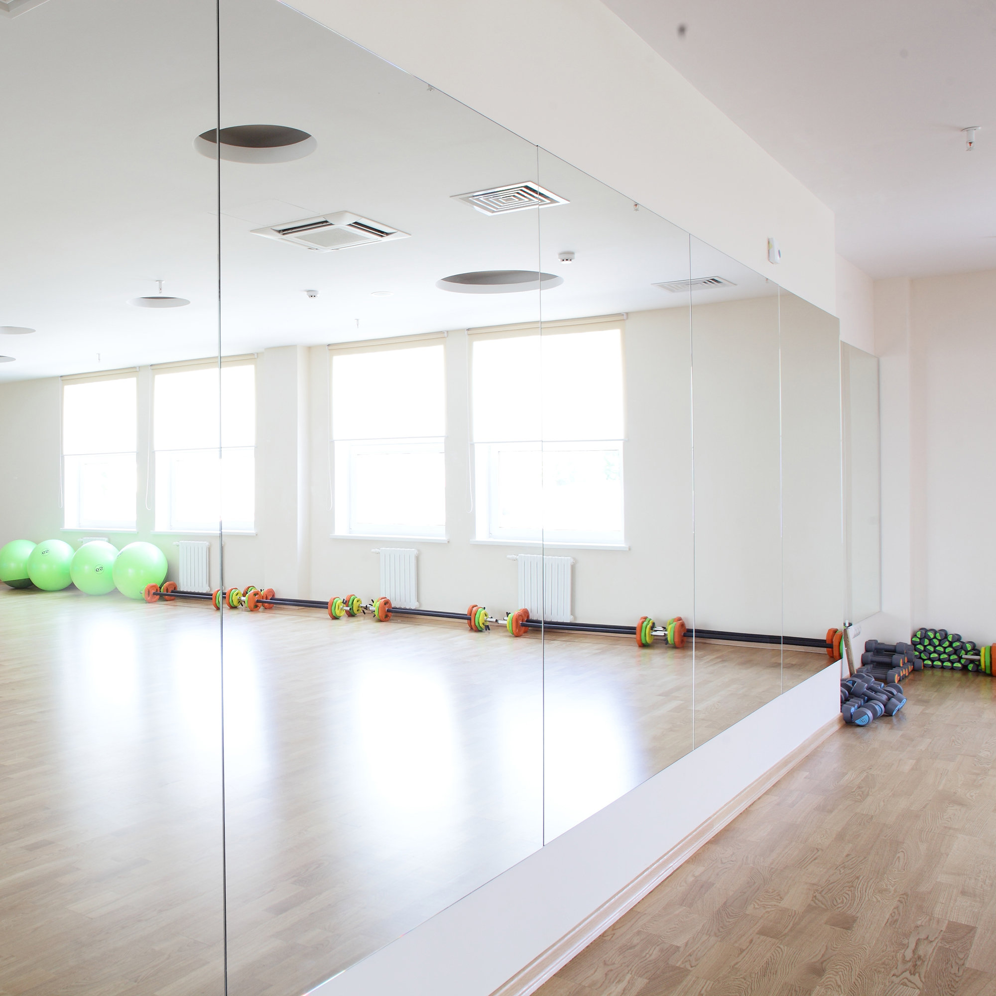 Dance Studio Mirrors Wayfair