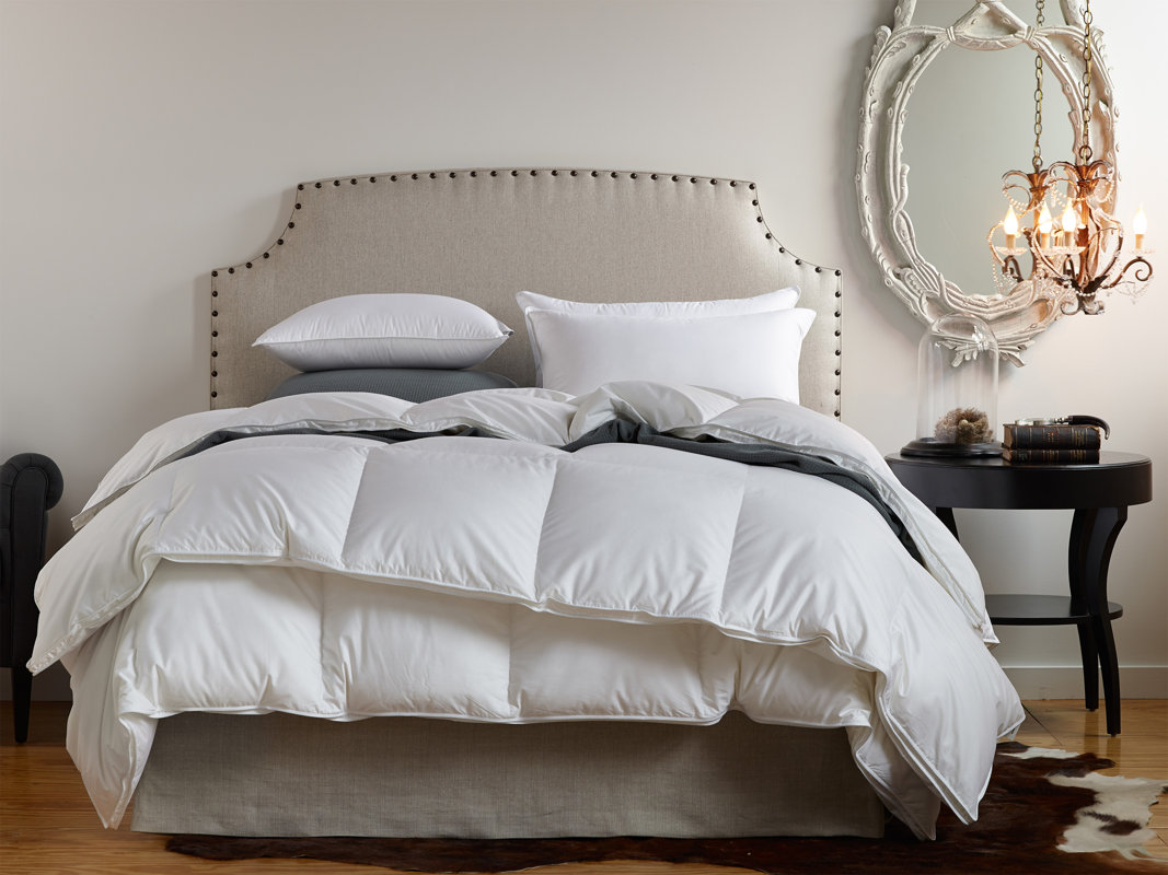 Down Inc Fall Weight Polyester Filled Duvet Insert Reviews Fall Weight Polyester Filled Duvet Insert