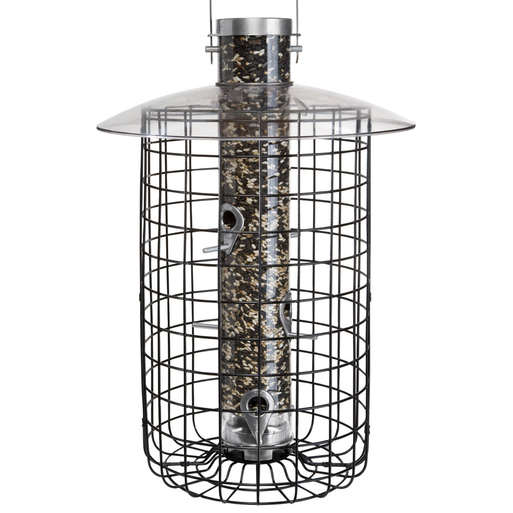 Droll Yankees B7 Domed Caged Sunflower Tube Bird Feeder Wayfair
