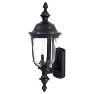 Go to store & view more images Morgan Park 2-Light Outdoor Sconce by Great Outdoors by Minka