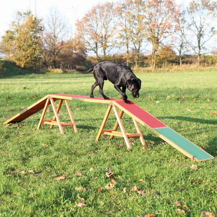 trixie dog agility tunnel