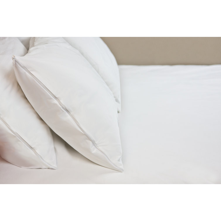 body pillow bed bug protector