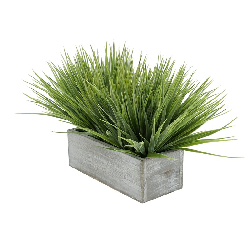 Gracie Oaks Artificial Onion Grass In Planter Reviews Wayfair