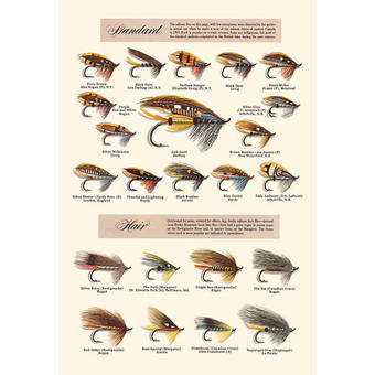 Buyenlarge Silvery Hairtail And Scabbard Fish By Robert Hamilton Painting Print Wayfair
