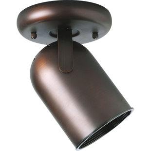 Indoor Spot Lights Wayfair Ivana 1 Light Spot