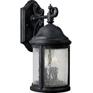 Drumakeely 2-Light Outdoor Wall Lantern