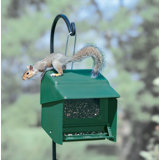 Decorative Homestead Bird Feeders You Ll Love In 2020 Wayfair