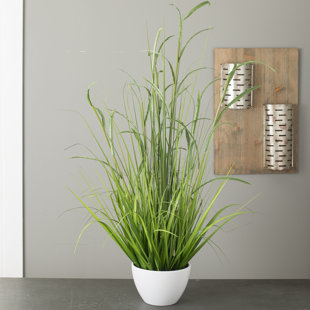 Faux Pampas Grass Wayfair
