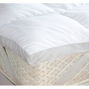 Sofa Bed Mattress Topper Wayfair Co Uk Ambador Polyester Mattress Topper