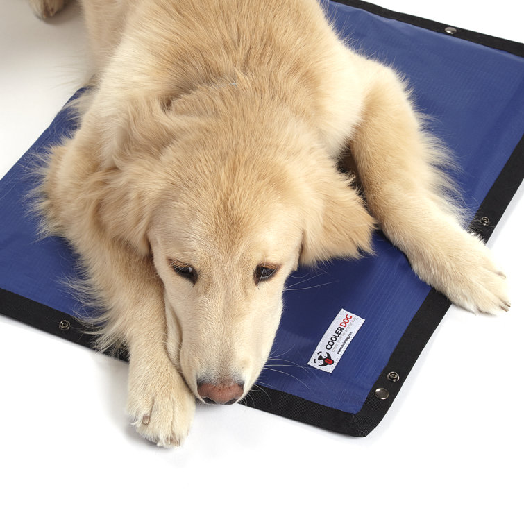 hydro cooling mat