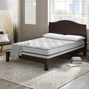 Wayfair Sleep 14