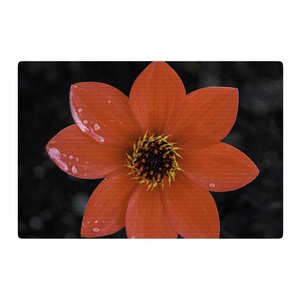 Nick Nareshni Wet Flower Petals Red/Black Area Rug