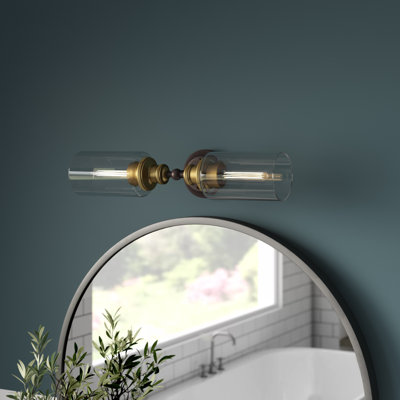 Damariana 2-Light Dimmable Vanity Light