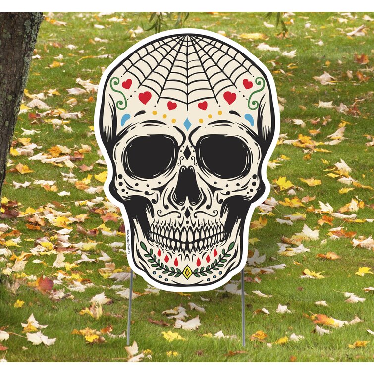 spider web and skull drawings