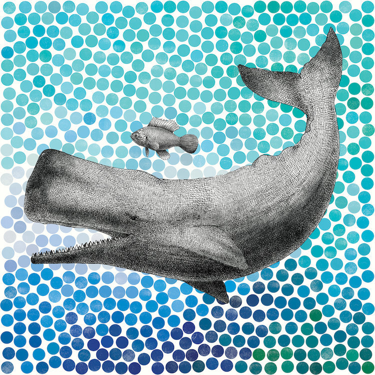 East Urban Home New Friends Series Whale And Fish I Graphic Art On Wrapped Canvas Wayfair