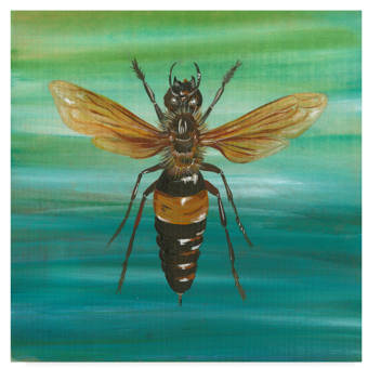 Latitude Run Timor Domini Painting Print On Canvas Wayfair