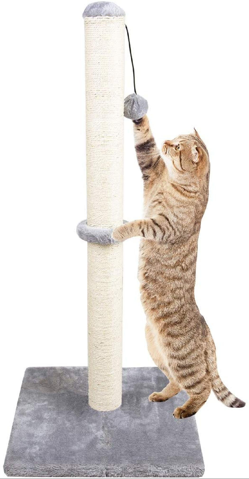 cat scratching post rope