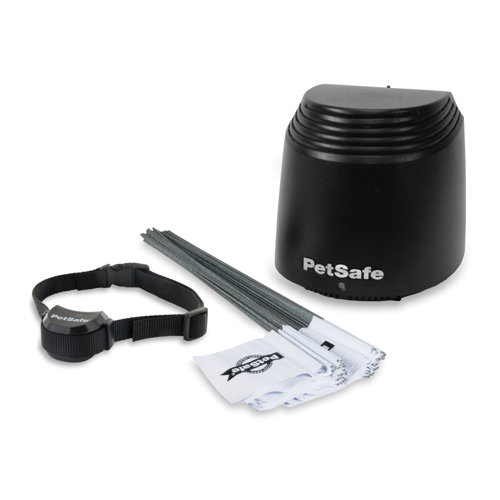 Petsafe Stay Dog Electric Collar Reviews Wayfair