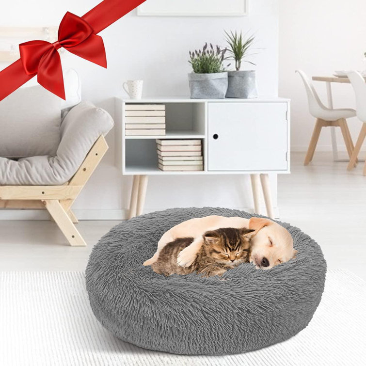 medium raised dog bed