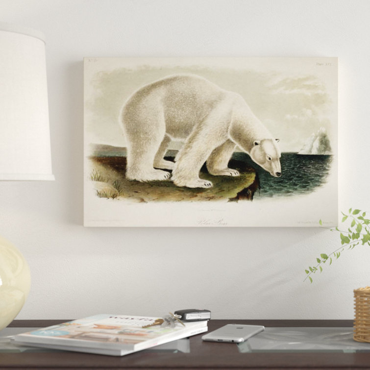 East Urban Home Polar Bear From Nature Drawing Print On Canvas Wayfair