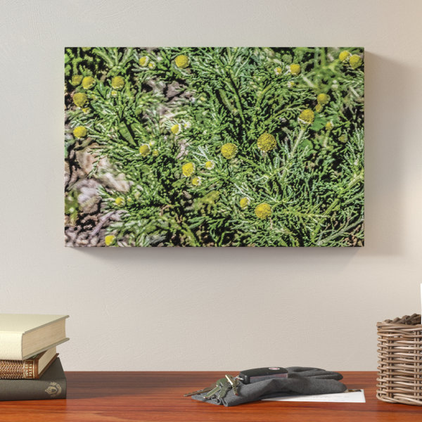 Loon Peak Wild Ground Cover Painting Print On Wrapped Canvas