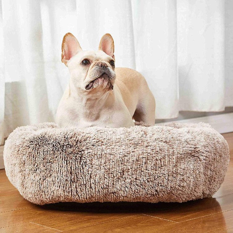 abbyspace dog bed