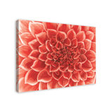 Coral Flower Wall Art Wayfair