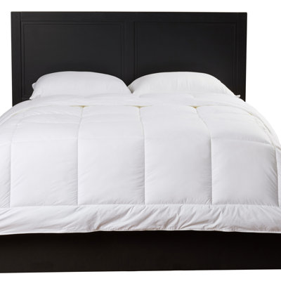 Fall Weight Polyester Filled Duvet Insert Reviews Allmodern Luxury Midweight Down Alternative Comforter