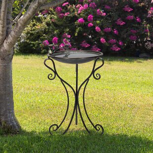 Beautiful Birds and Branches Powder Coated Metal Outdoor Birdbath 34 Inches High 