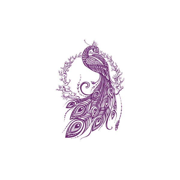 Decal House Peacock Bedroom Decor Wall Decal Reviews Wayfair