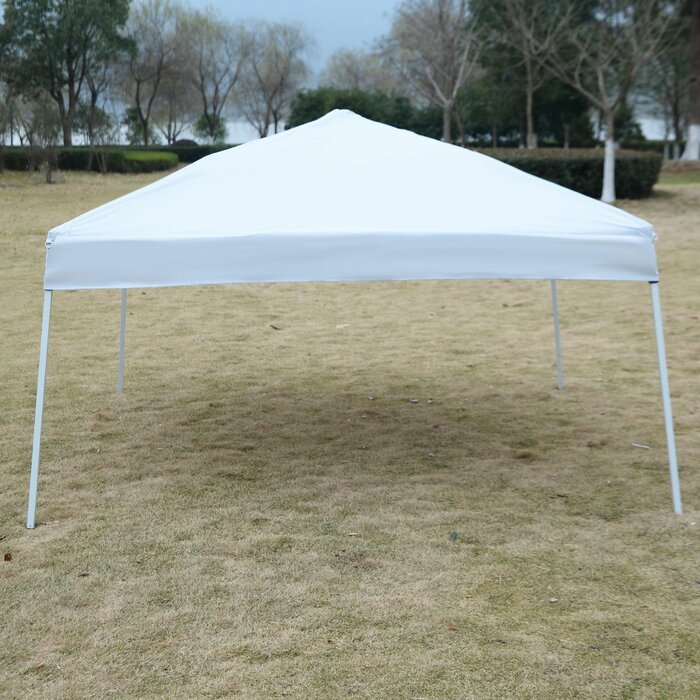 Setemi Wedding 10 Ft. W x 10 Ft. D Steel Party Tent Canopy | Wayfair

