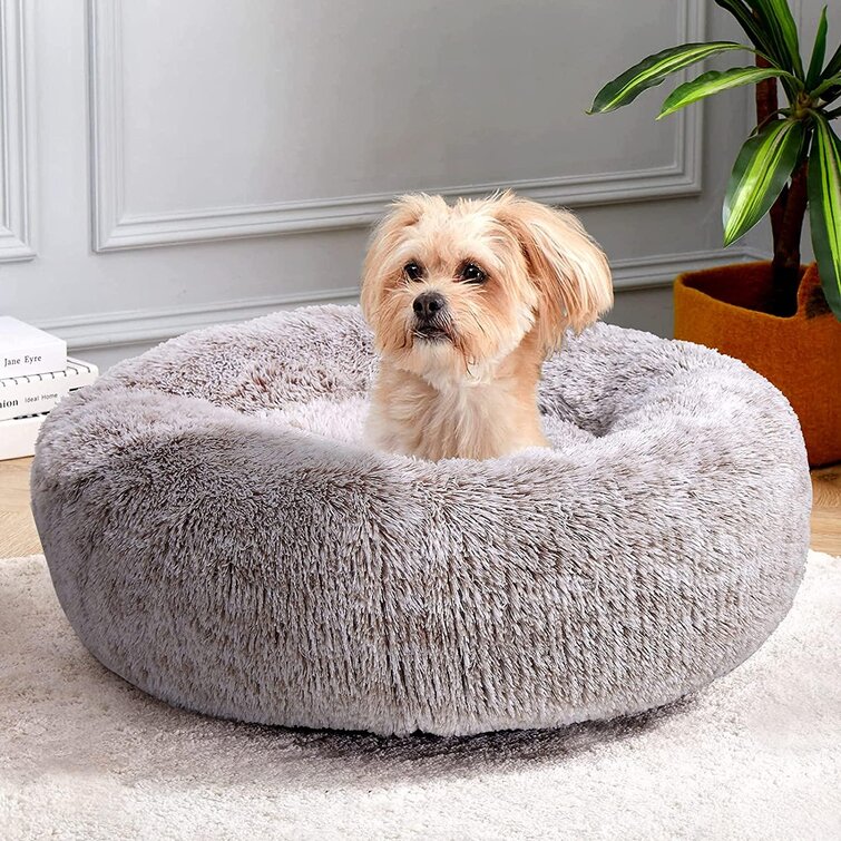 Tucker Murphy Pet™ Calming Dog Bed For Small Dog&Cat ,Comfy Self ...