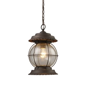 Manchester 1-Light Outdoor Hanging Lantern