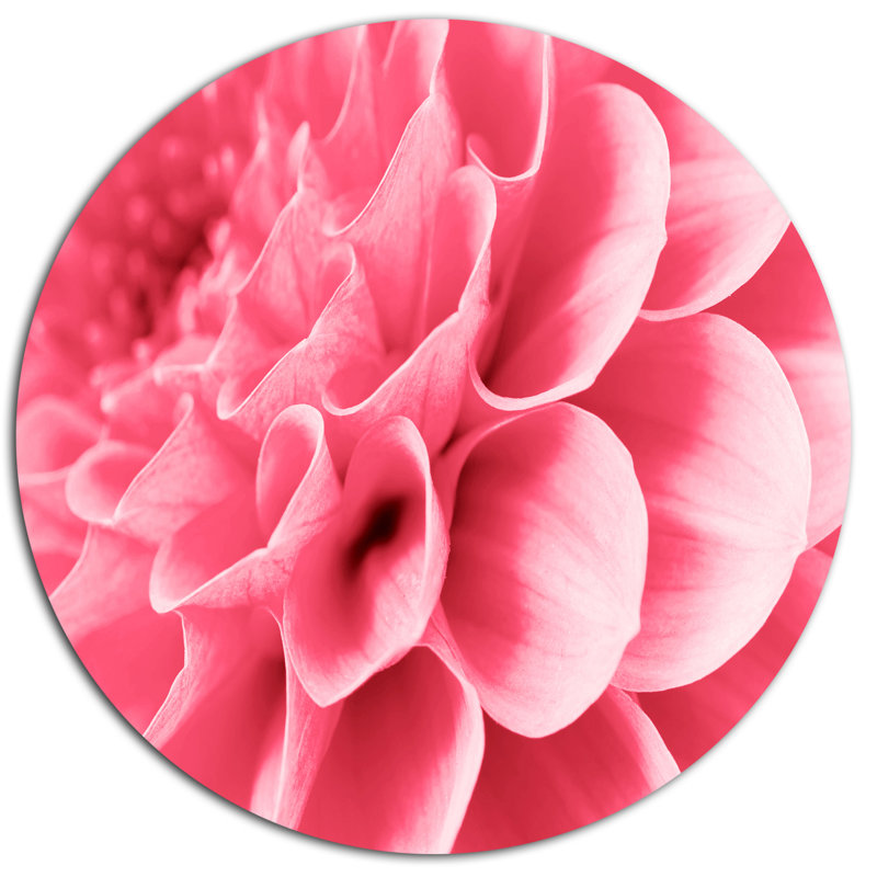 flower petals
