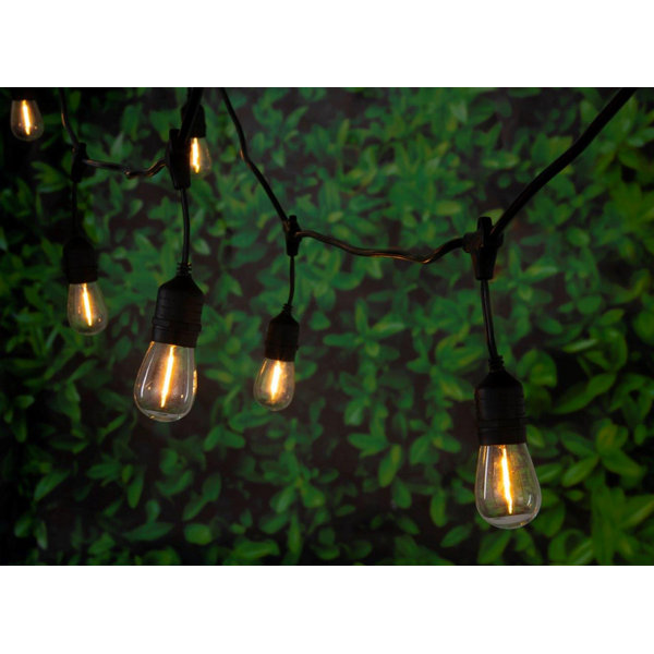 Noma String Lights Wayfair Ca