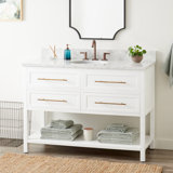 Robertson 49 Single Bathroom Vanity Set by Signature Hardware