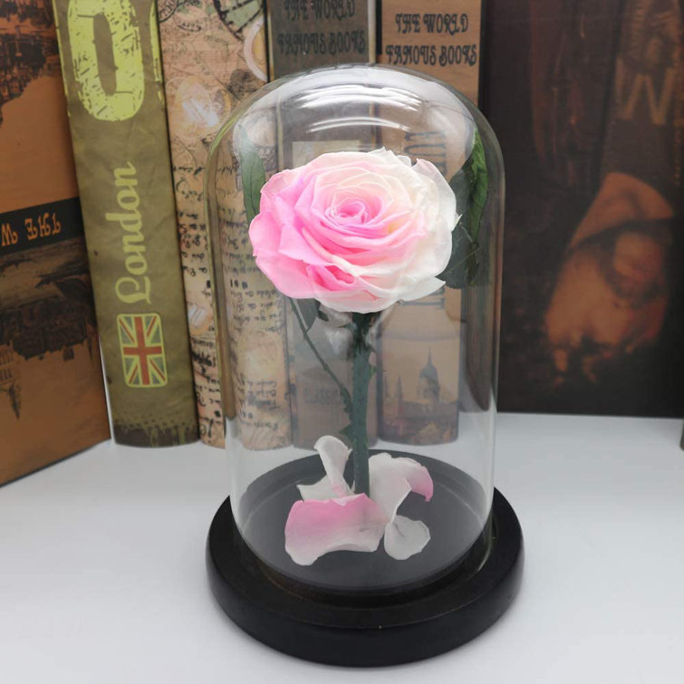 Oukaning Eapmic Beauty And The Beast Rose Centerpiece In Glass Dome Wayfair