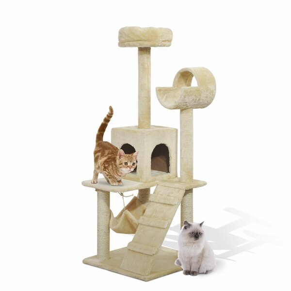 Archie Oscar Arbre De Jeu Pour Chat Avec Tunnels Et Parois A Griffer Rona Et Commentaires Wayfair Ca