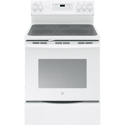 GE Appliances 30" 5.3 cu ft. Free-Standing Electric Range Finish: White
