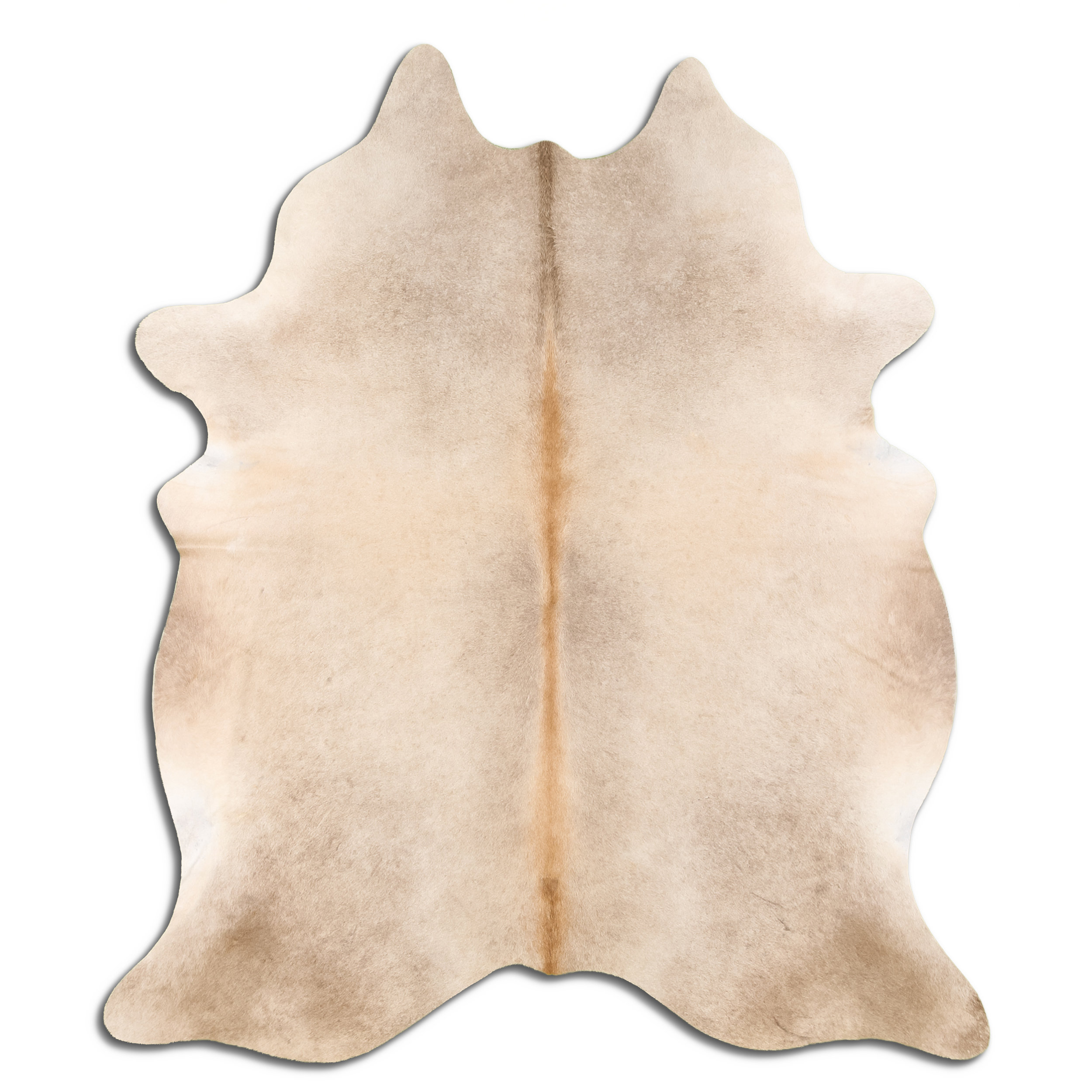 Foundry Select Amirah Handmade Cowhide Beige Area Rug Wayfair